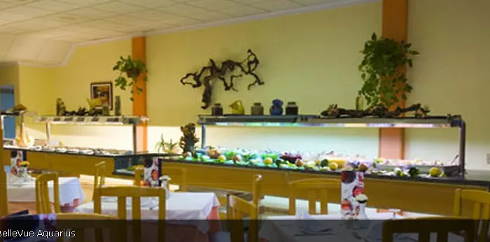 Apartamento Bellevue Aquarius *